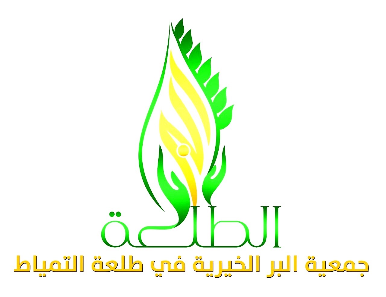 جمعية البر الخيرية بطلعة التمياط